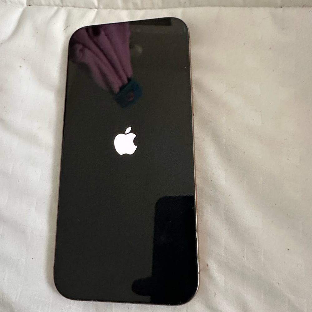 Apple iPhone 16 pro max NEW rose gold
